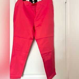 Ellen Tracy Vibrant PinkPants Pull-On Size XL